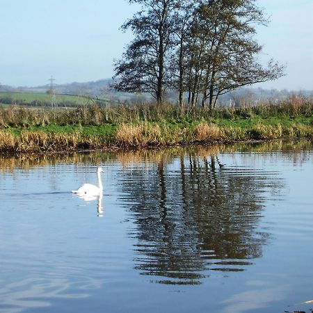The Bower Inn Bridgwater Exterior foto Swans on the River Wye